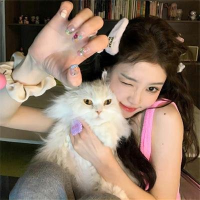 五香宫的猫