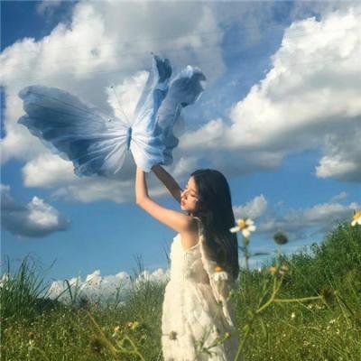 纳瓦尼事件簿